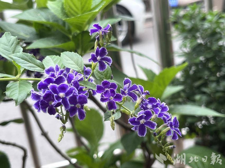 新开户送58体验金开户